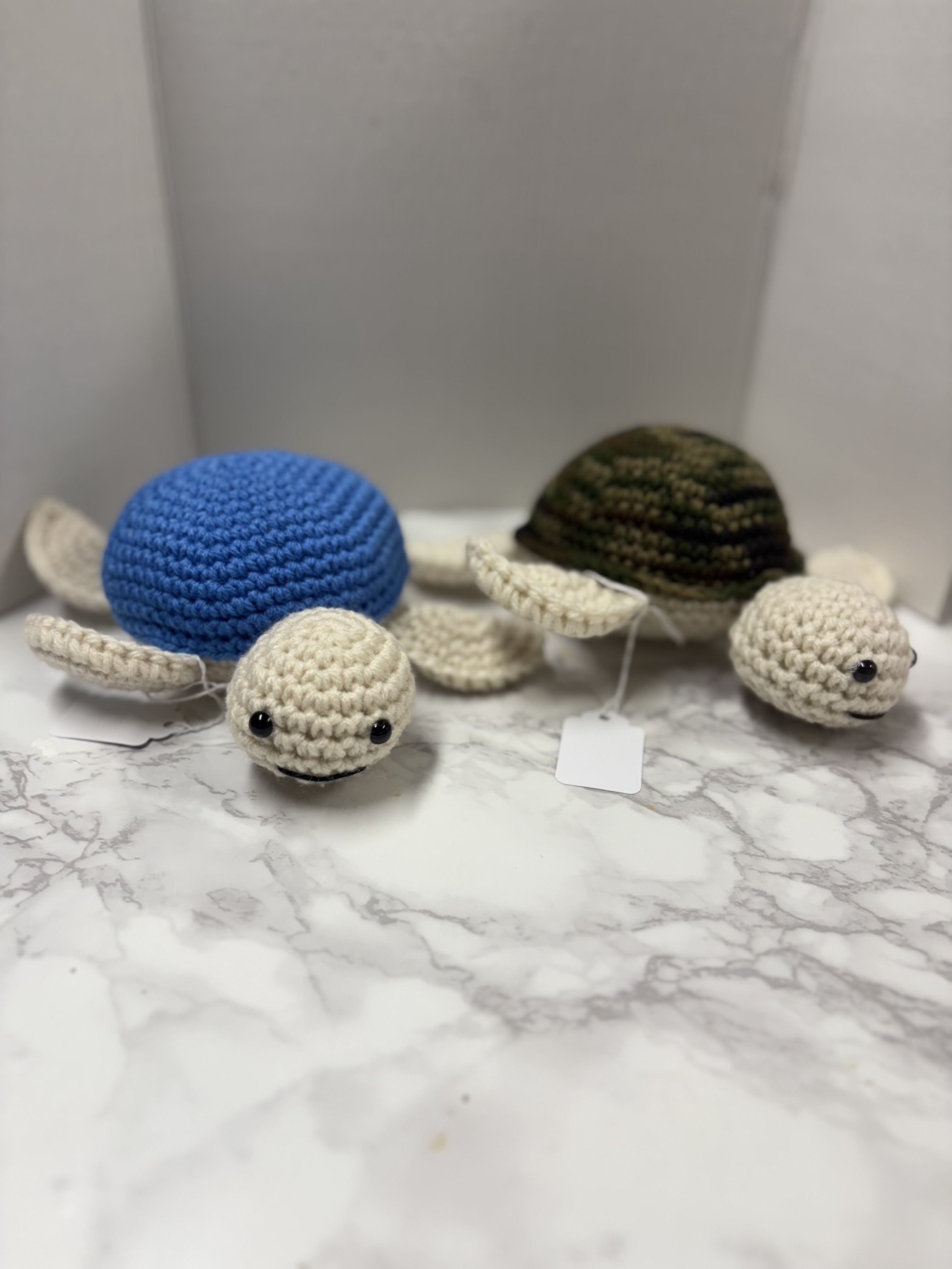 Adorable Pair of Turtles